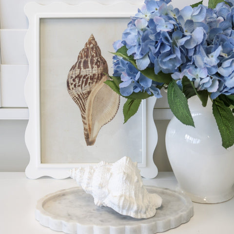 Cayman Framed Glass Shell Print