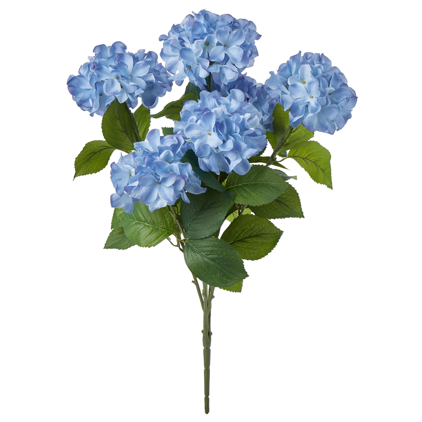Hydrangea Bush Soft Blue 64cm