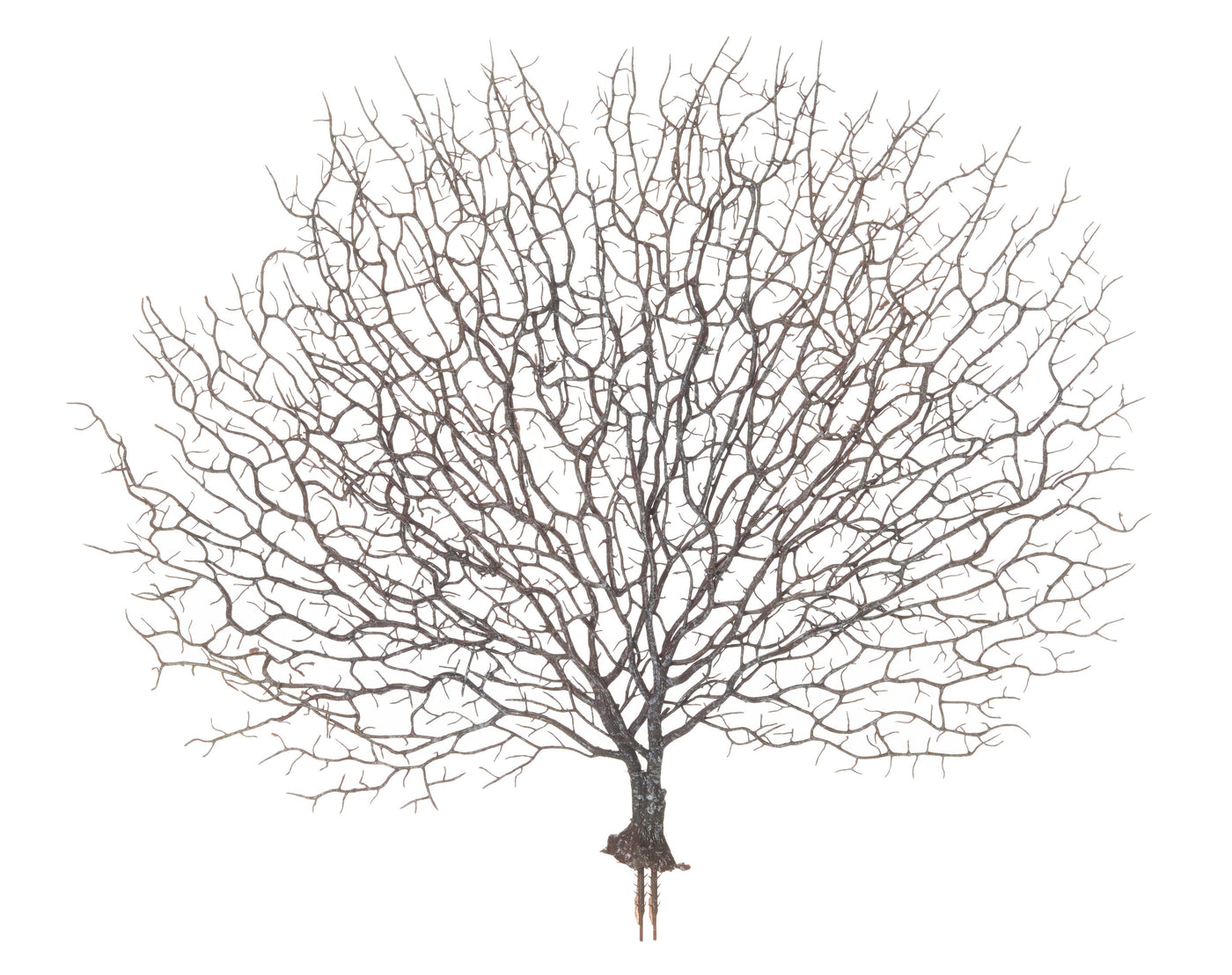 Sea Fan Coral Plant 48cm Brown