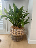 Luxe Rattan Basket Small