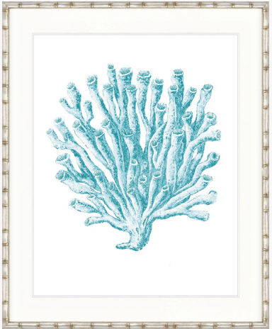 Ashford Soft Coral X