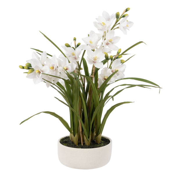 Artificial Cymbidium Orchid Pot in white with lifelike green foliage and decorative pot, 85cm tall.