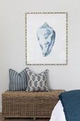 Exquisite Shell I Indigo