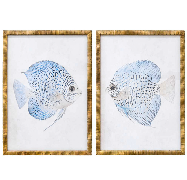 A pair of matching rectangular framed art prints, each featuring a detailed illustration of a discus-shaped fish with blue and white markings. The prints are framed in a textured, natural rattan material.