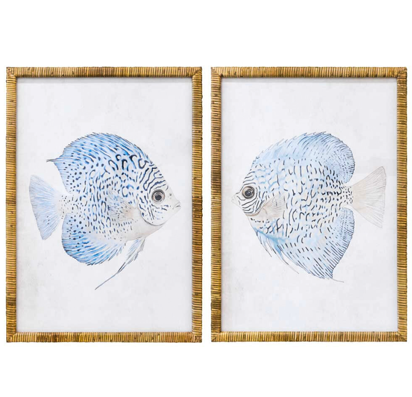 A pair of matching rectangular framed art prints, each featuring a detailed illustration of a discus-shaped fish with blue and white markings. The prints are framed in a textured, natural rattan material.