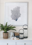 Tranquil Bay 02