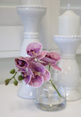Orchid Stem in Clear Vase Purple & Glass