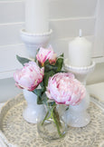 Peony Stem in Clear Glass Vase Pink