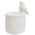 White cement planter with perched bird detail, textured finish, and drainage hole