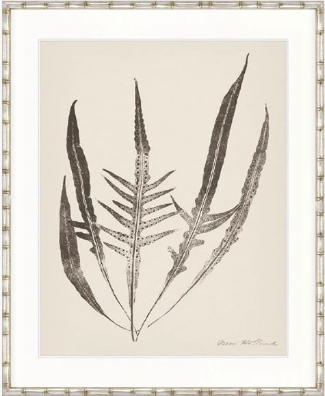 Nature Print XV
