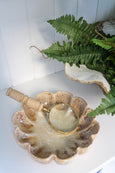 Decorative shell with a magnifying glass and spyglass on a white surface with green ferns in the background.