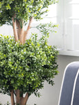 Boxwood Triple Ball Tree 1.2 Meter
