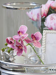 Orchid Stem in Clear Vase Purple & Glass