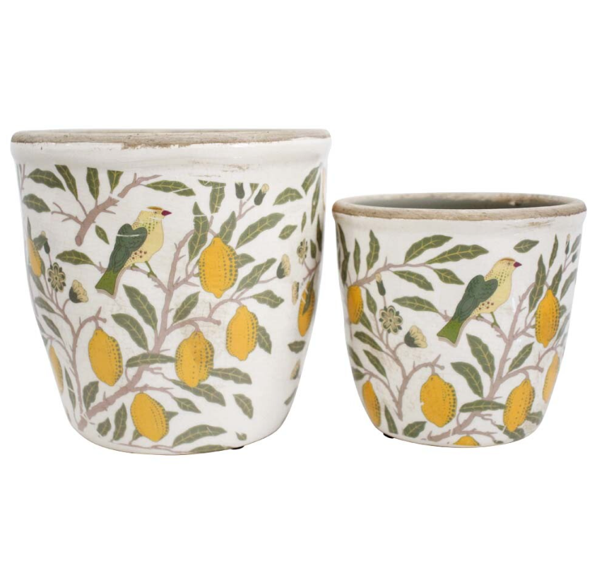 Planters Vintage Lemon Set/2
