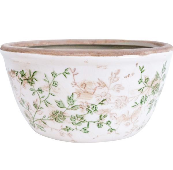 Low Planter Evergreen