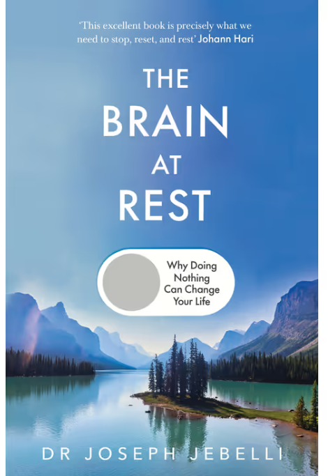 The Brain at Rest