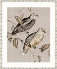 Meadow Birds I