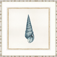 Martyn Shell III