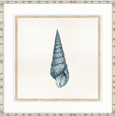 Martyn Shell III