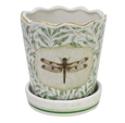 Planter Morris Dragonfly