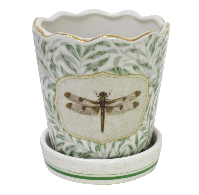 Planter Morris Dragonfly