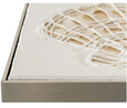 Clam Sea Shell Canvas in Silver Frame