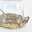 Willow Plate With Glass Cloche