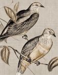 Meadow Birds I
