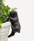 Hanging French Bulldog Dark Brown
