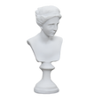 Miniature Bust Venus