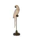 Amabela Parrot Small Natural