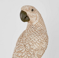 Amabela Parrot Small Natural