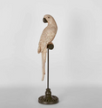 Amabela Parrot Small Natural