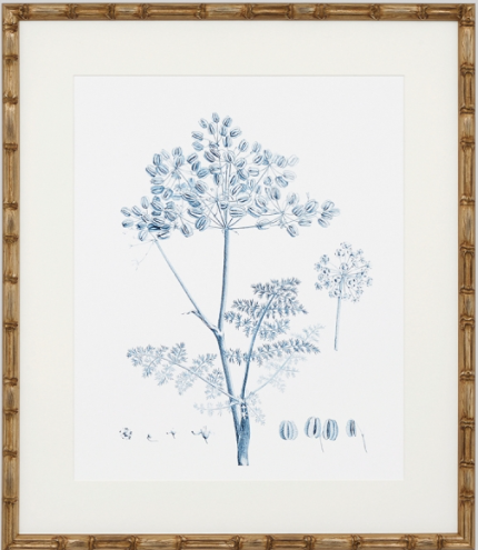 Antique Botanical Blue VI