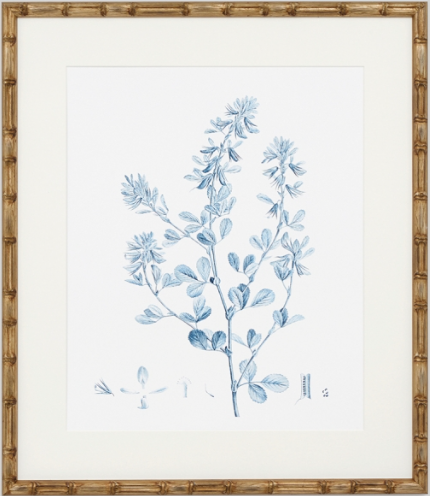 Antique Botanical Blue VIII