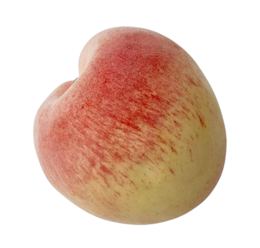 Artificial Peach