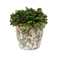 Black Floral Pot Large
