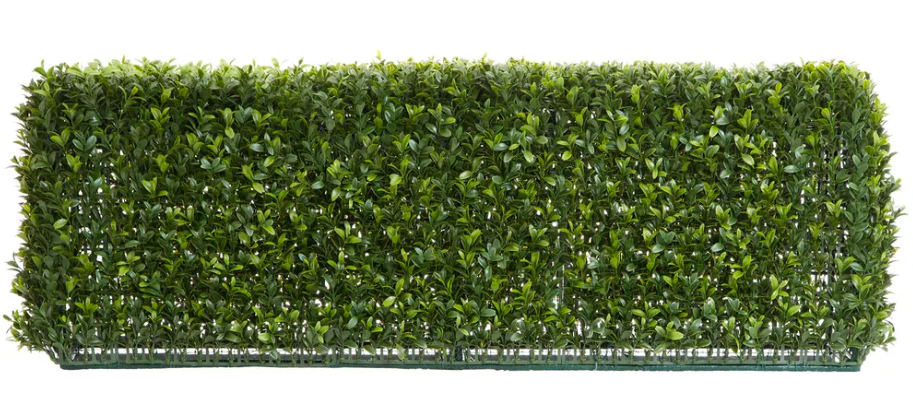 Boxwood Hedge 25 x 95cm