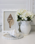 Hydrangea Bush White 45cm