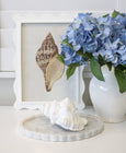 Hydrangea Bush Soft Blue 45cm