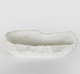 Haven White Coral Bowl 36cm