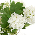 Snowball in Phoebe Vase White 26cm