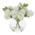 Snowball in Phoebe Vase White 26cm