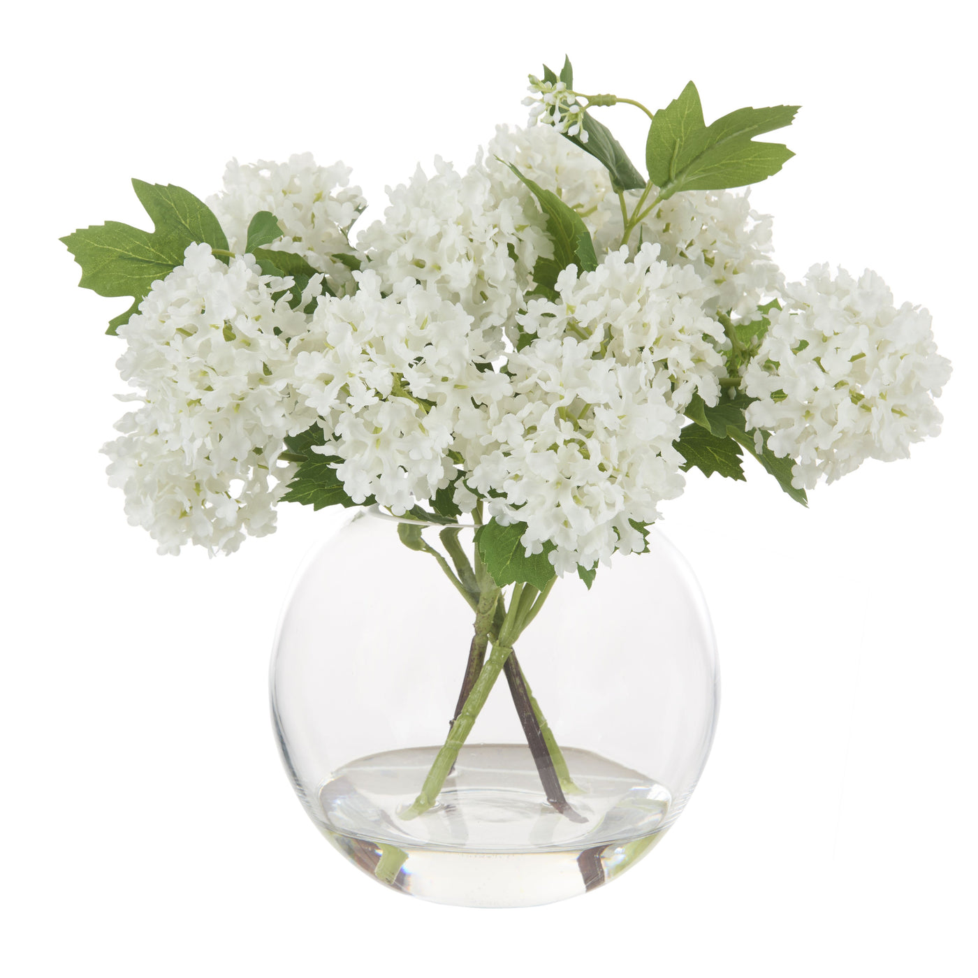 Snowball in Phoebe Vase White 26cm