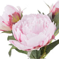 Peony Stem in Clear Glass Vase Pink