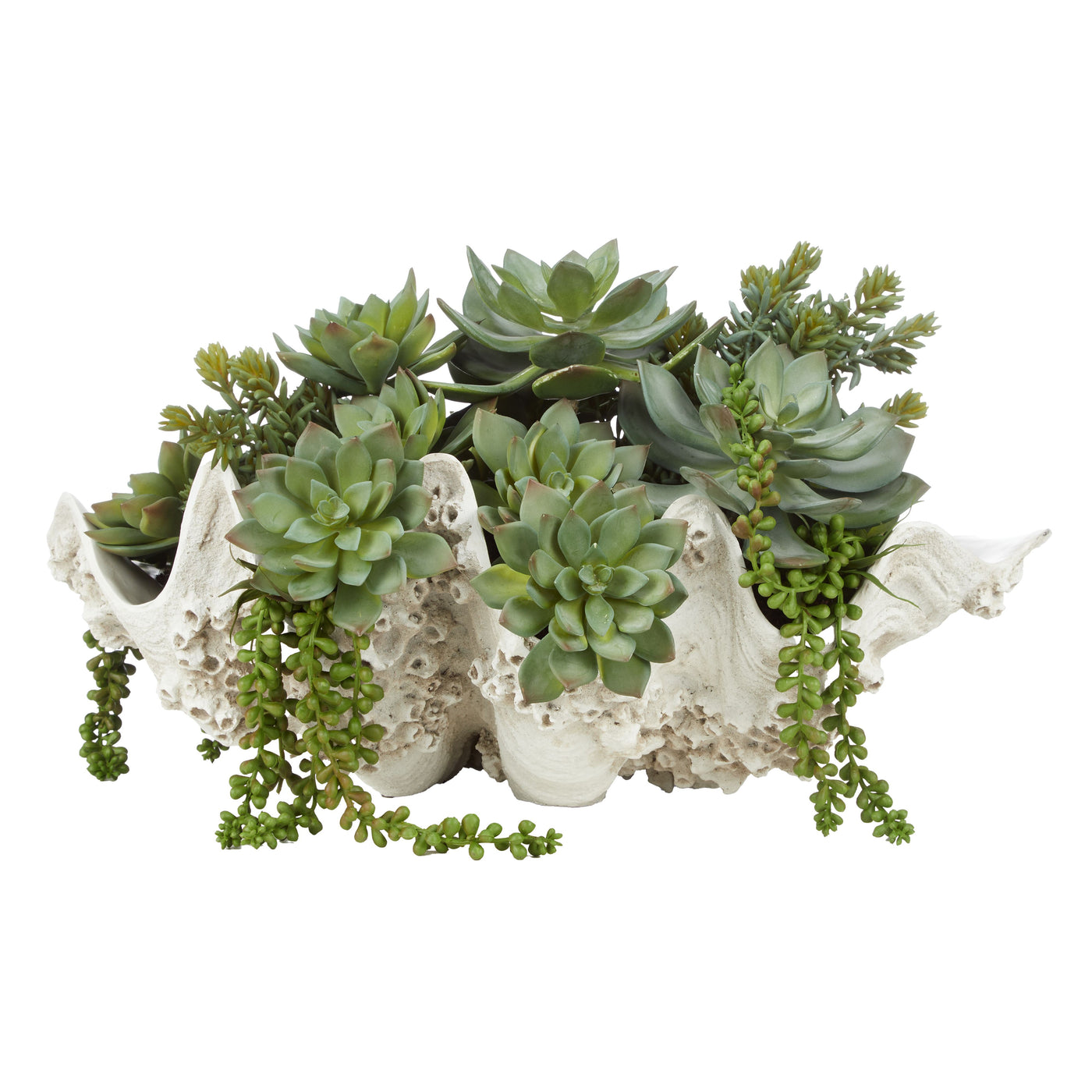 Succulent Mix in Seychelles Clam Vessel Green