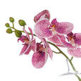 Orchid Stem in Clear Vase Purple & Glass