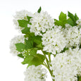 Snow Ball Spray Bunch White