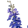 Delphinium Mix in Alana Vase Blue