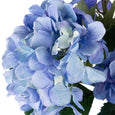 Delphinium Mix in Alana Vase Blue